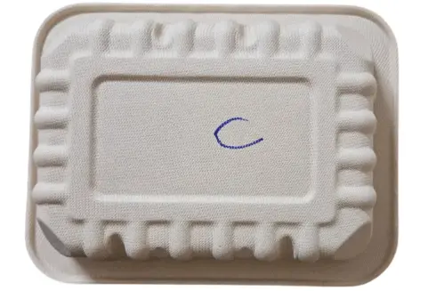Biodegradable Sugarcane Tray Box (2)