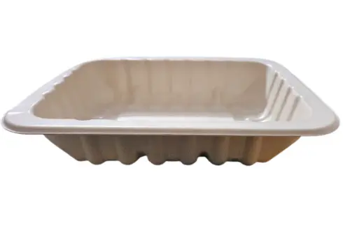 Biodegradable Sugarcane Tray Box (3)