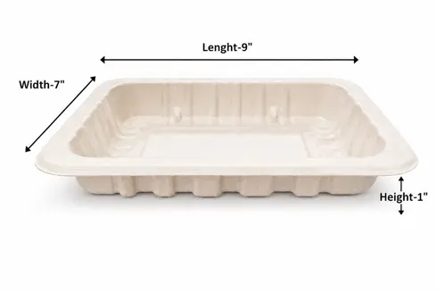 Biodegradable Sugarcane Tray Box