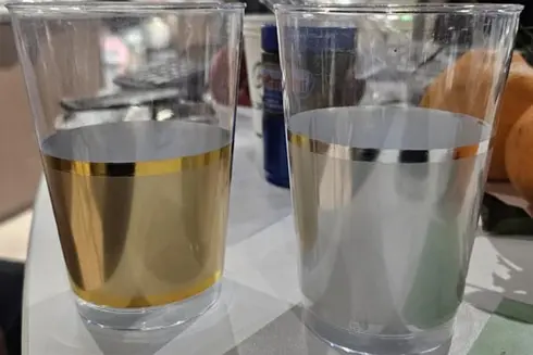 Premium Plastic Tableware (10)