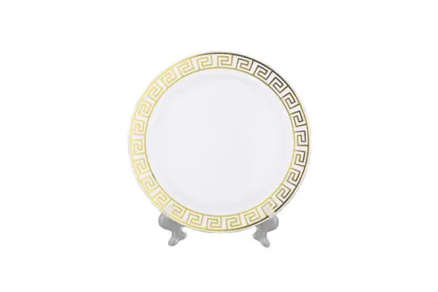 Premium Plastic Tableware (15)