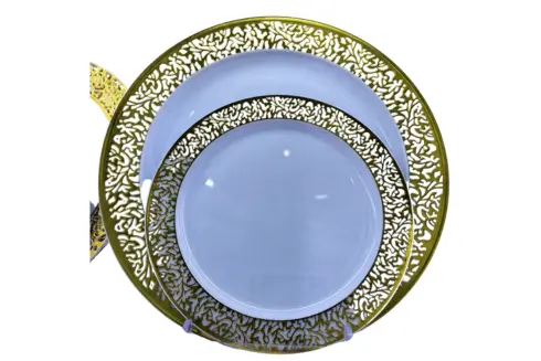 Premium Plastic Tableware (3)