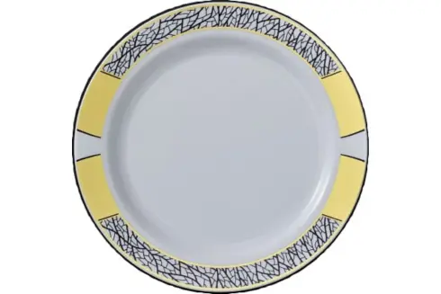 Premium Plastic Tableware (9)