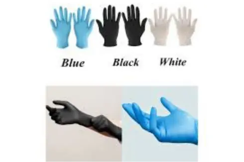 Vinyl Gloves(Large Size) (2)